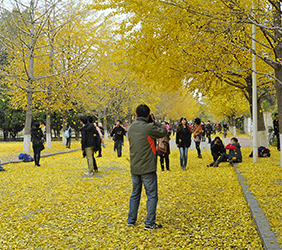 江南娱乐平台风采展示三